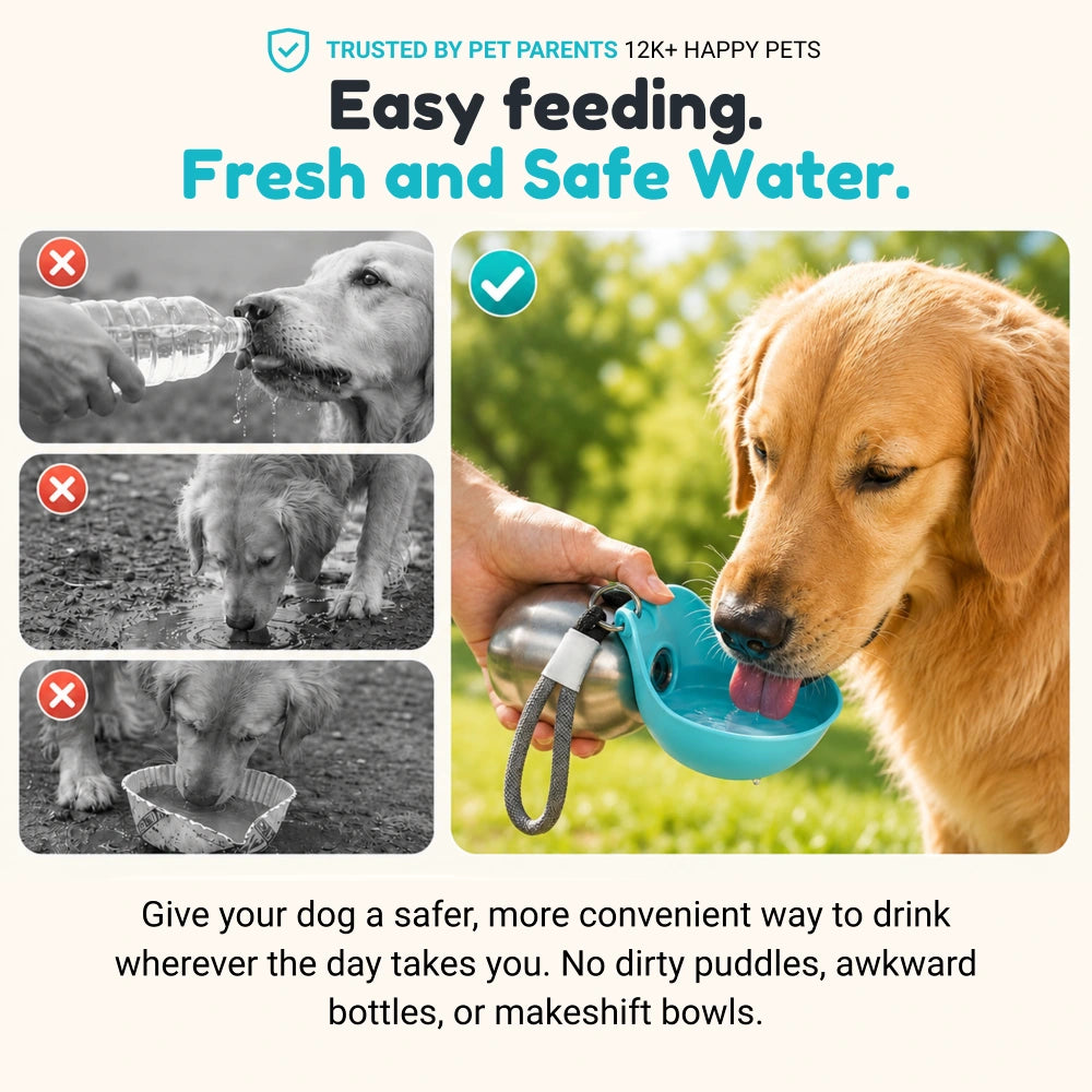 Pet Bottle