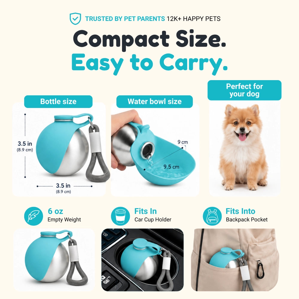 Pet Bottle