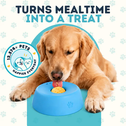 Pet Slow Feeder