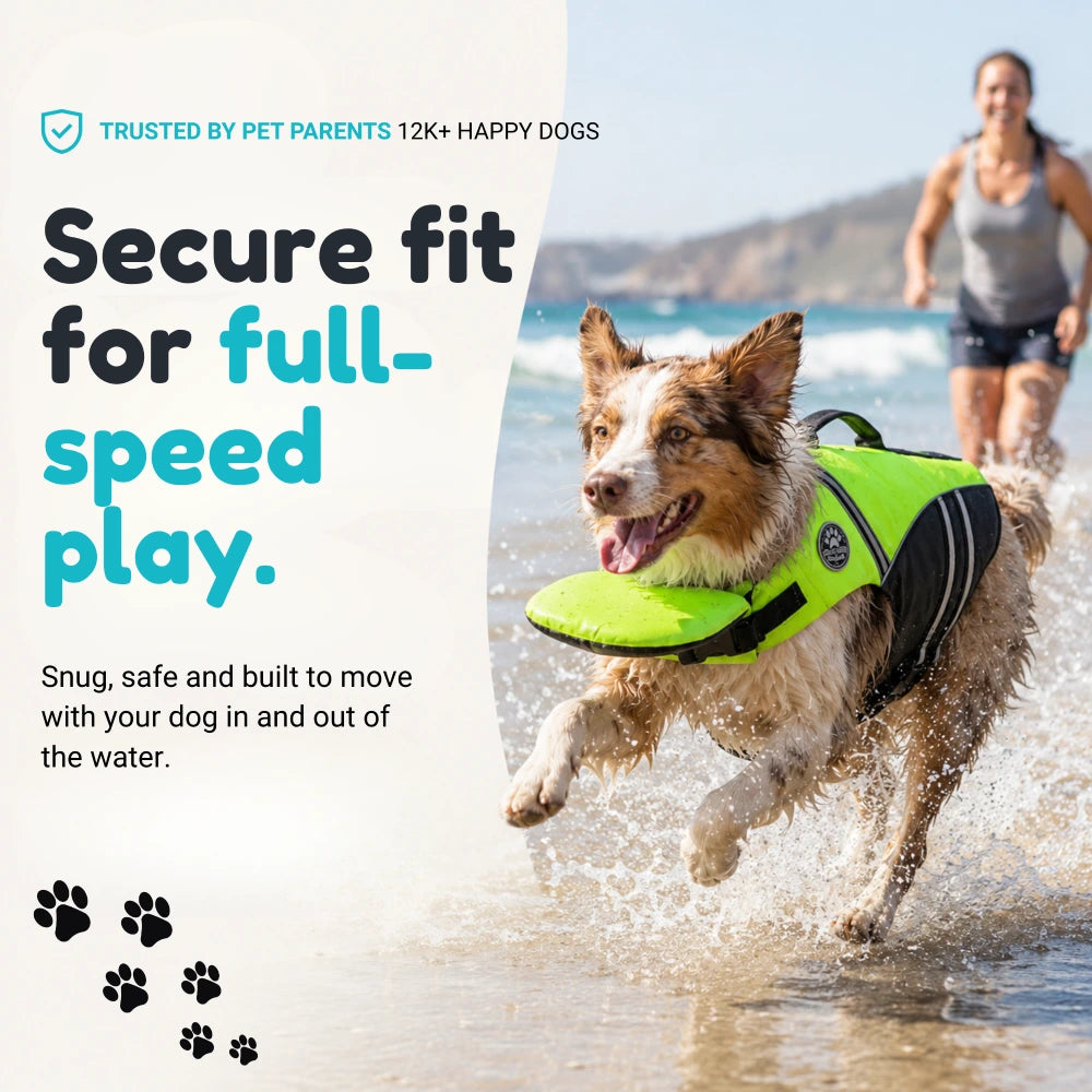 Dog Life Jacket