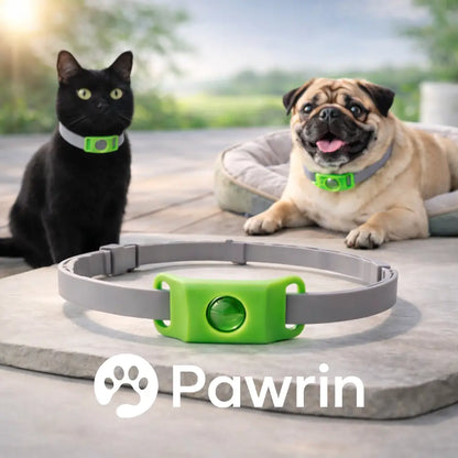 Flea & Tick Protection Pendant