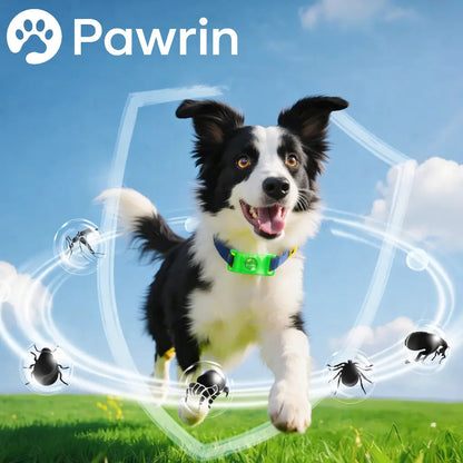 Flea & Tick Protection Pendant