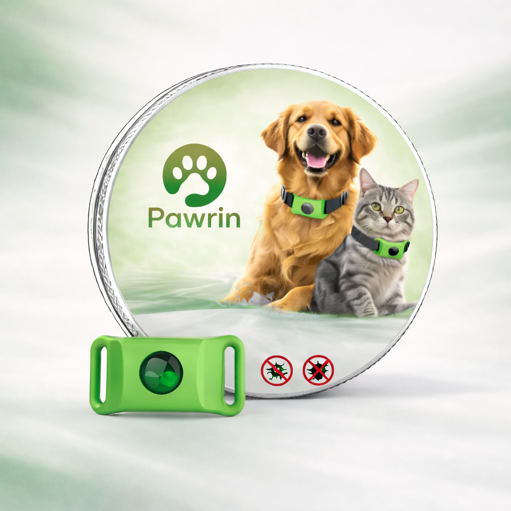 Flea & Tick Protection Pendant