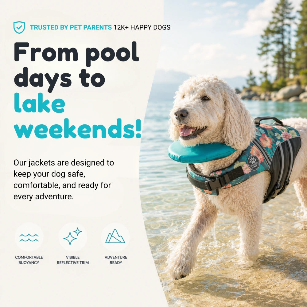Dog Life Jacket