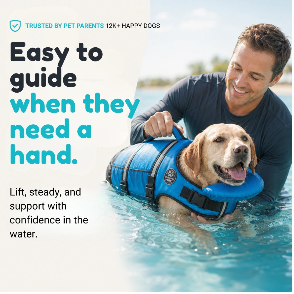 Dog Life Jacket